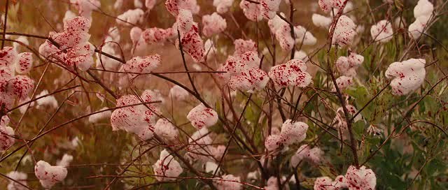 Zincirsiz Fotoğrafı