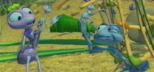 Bir Böceğin Yaşamı Fotoğrafı