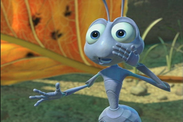 Bir Böceğin Yaşamı Fotoğrafı