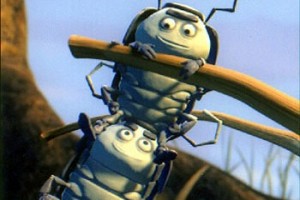 Bir Böceğin Yaşamı Fotoğrafı