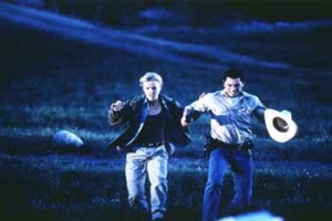 Yarasalar Fotoğrafı