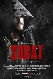Şubat (2012) afişi