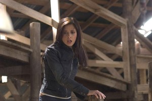 Arayış Fotoğrafı