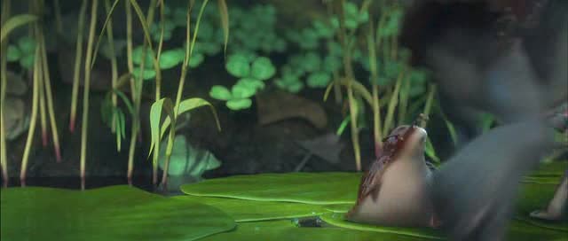 Doğal Kahramanlar Fotoğrafı