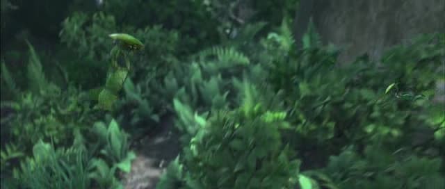 Doğal Kahramanlar Fotoğrafı