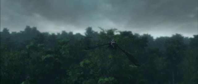 Doğal Kahramanlar Fotoğrafı