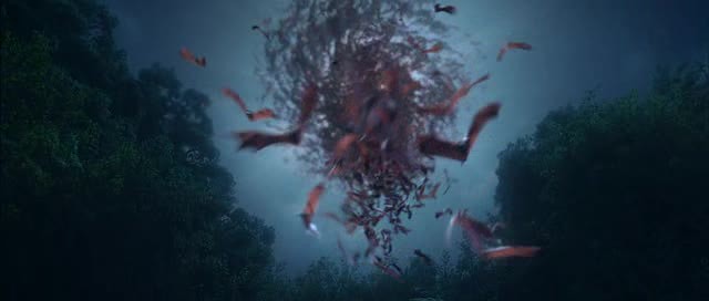 Doğal Kahramanlar Fotoğrafı