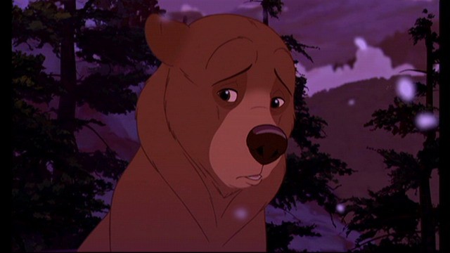 Ayı Kardeş Fotoğrafı