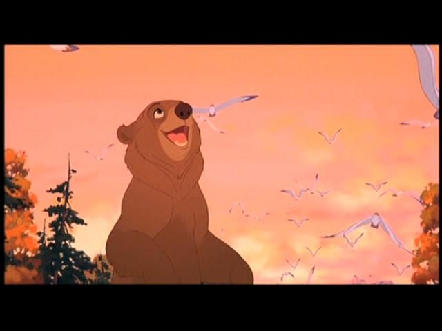 Ayı Kardeş Fotoğrafı