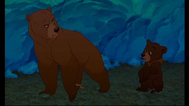 Ayı Kardeş Fotoğrafı