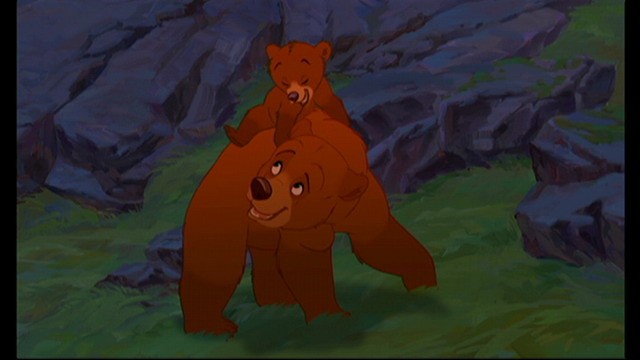 Ayı Kardeş Fotoğrafı