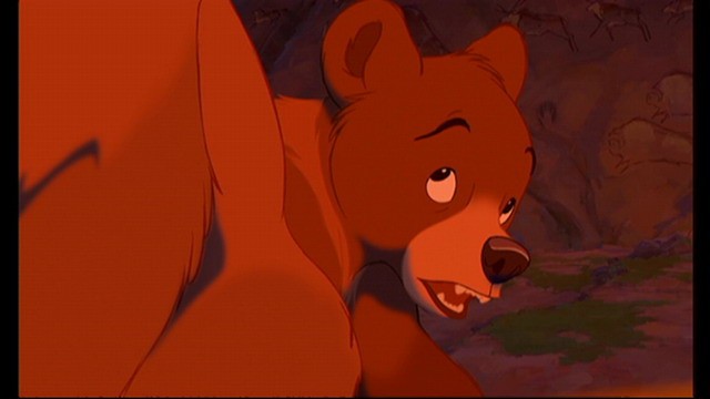 Ayı Kardeş Fotoğrafı