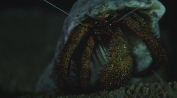 Kingdom of the Reefs Fotoğrafı