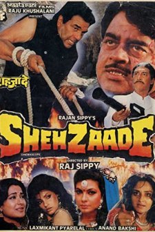 Shehzaade (1989) afişi