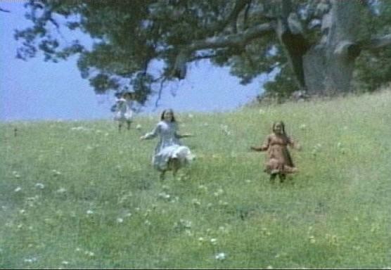 Küçük Ev Fotoğrafı