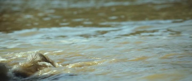 Kim'in Adası Fotoğrafı