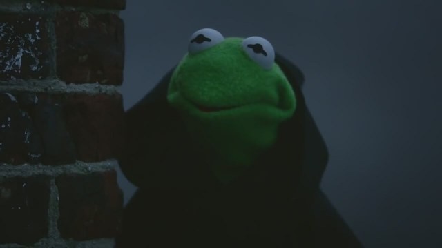Muppets Aranıyor Fotoğrafı
