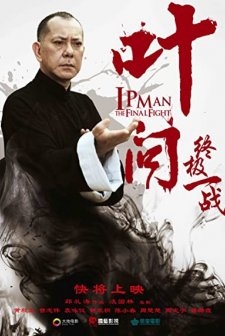 Ip Man: The Final Fight (2013) afişi