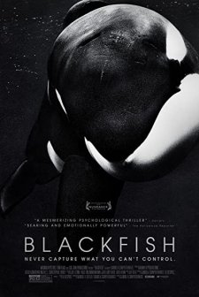 Blackfish (2013) afişi