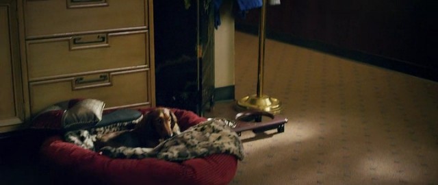 Yüzleşme Fotoğrafı