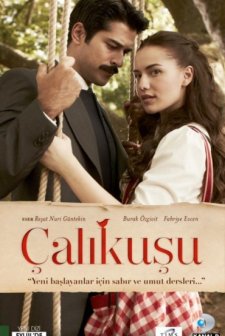 Çalıkuşu (2013) afişi