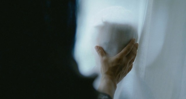 Hayat Ağacı Fotoğrafı