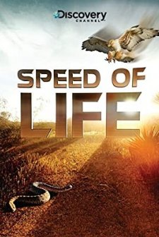 Yaşamın Hızı (2010) afişi