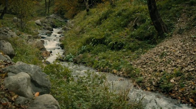 Bizum Hoca Fotoğrafı