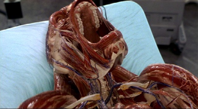 Görünmez Adam Fotoğrafı