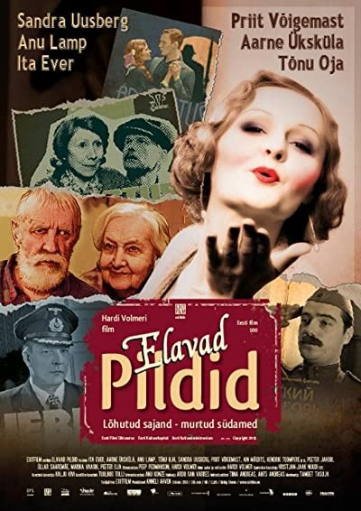 Elavad pildid (2013) afişi