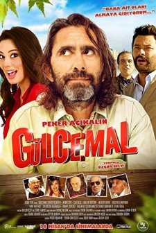 Gülcemal (2014) afişi