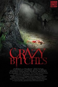 Crazy Bitches (2013) afişi