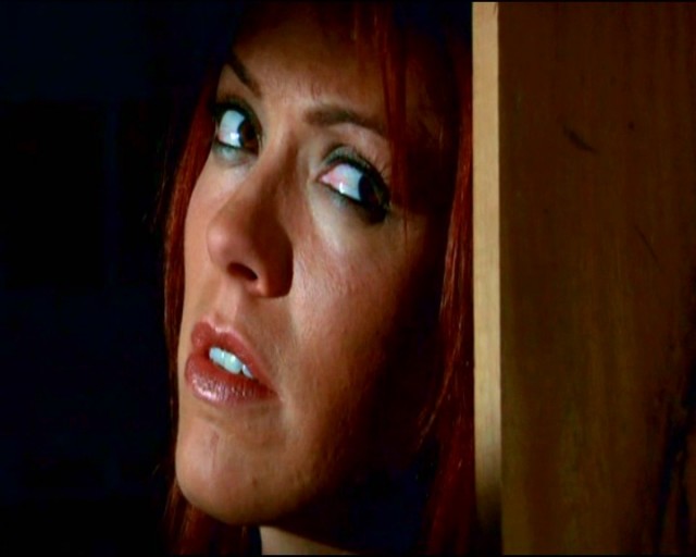 The Cellar Door Fotoğrafı