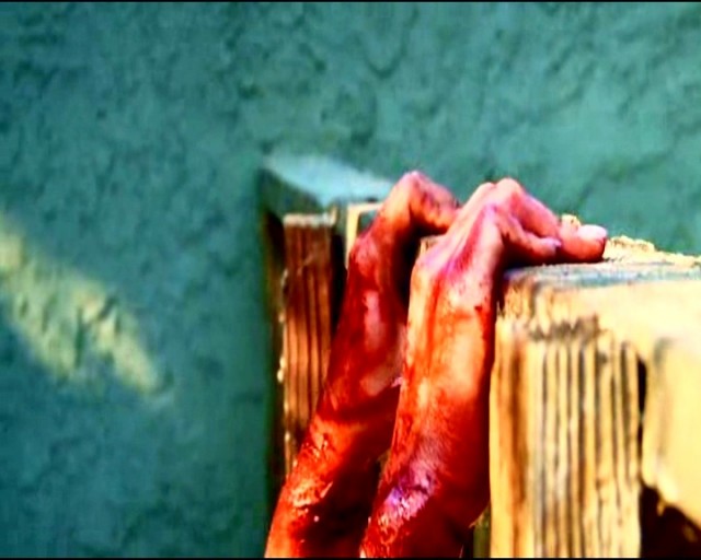 The Cellar Door Fotoğrafı