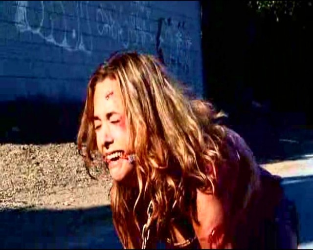 The Cellar Door Fotoğrafı