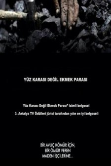 Yüz Karası Değil Ekmek Parası (2012) afişi