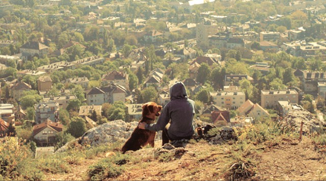 Beyaz Tanrı fotoğrafı