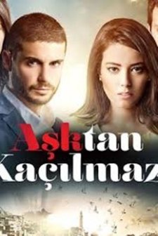 Aşktan Kaçılmaz (2014) afişi