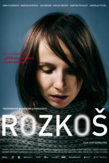 Delight (2013) afişi