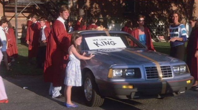 Çılgın Bir Yaz Fotoğrafı