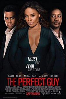 The Perfect Guy (2015) afişi