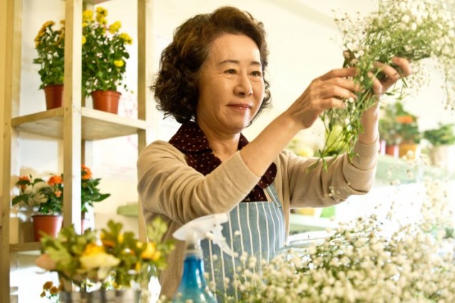 Salut D'Amour Fotoğrafı