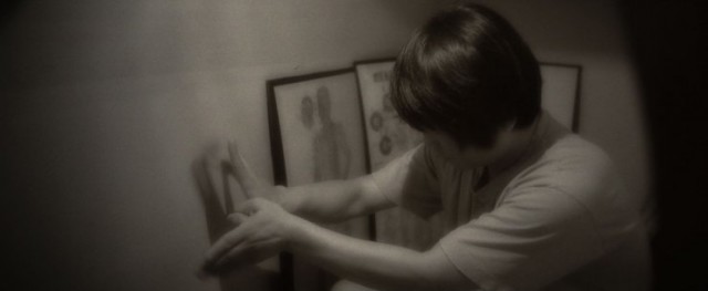 The Avian Kind Fotoğrafı