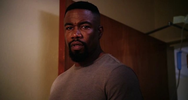 Falcon Rising Fotoğrafı