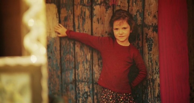 Falcon Rising Fotoğrafı