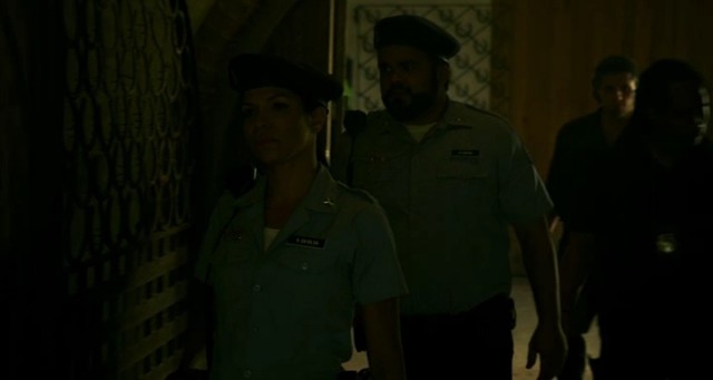 Falcon Rising Fotoğrafı