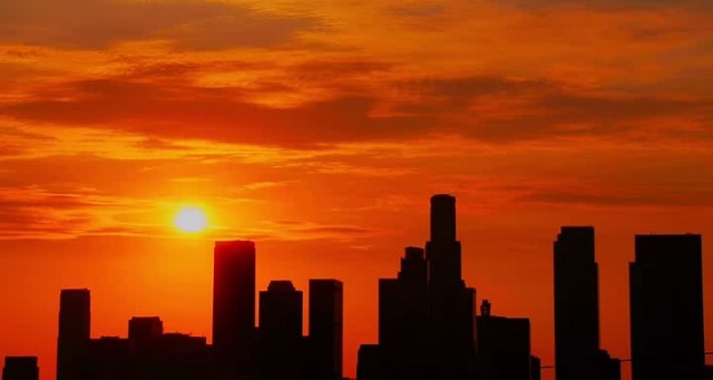 Falcon Rising Fotoğrafı