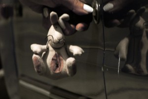 Bir Kaplumbağa ile Tavşan Hikayesi Fotoğrafı