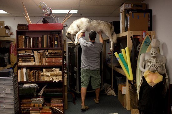 Vampir Günlükleri Fotoğrafı