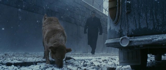 Casuslar Köprüsü Fotoğrafı